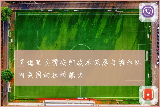 罗德里戈赞安帅战术深厚与调和队内氛围的独特能力