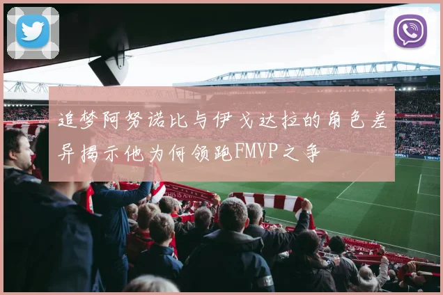 追梦阿努诺比与伊戈达拉的角色差异揭示他为何领跑FMVP之争
